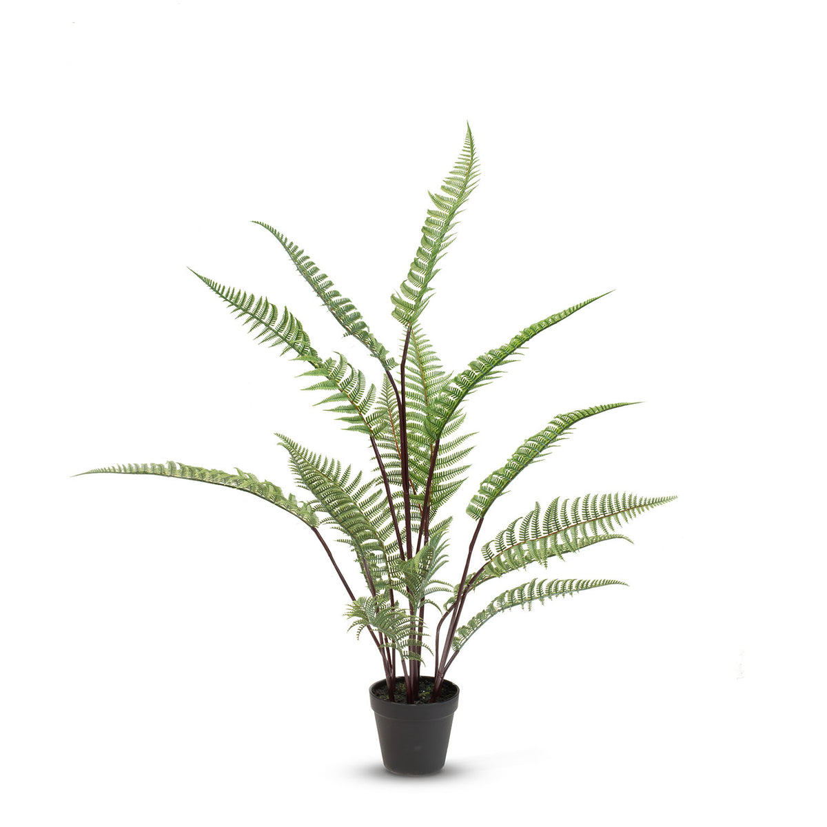Schwertfarn - Nephrolepis exaltata Kunstpflanze