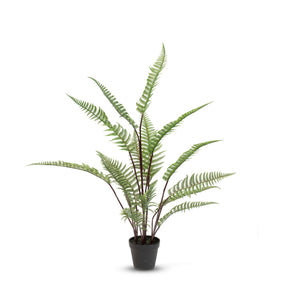 Schwertfarn - Nephrolepis exaltata Kunstpflanze