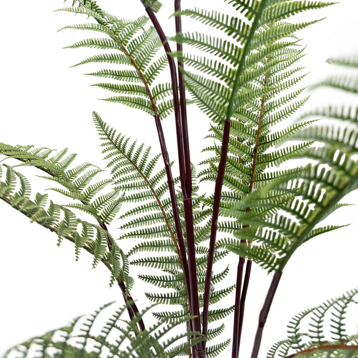 Schwertfarn - Nephrolepis exaltata Kunstpflanze