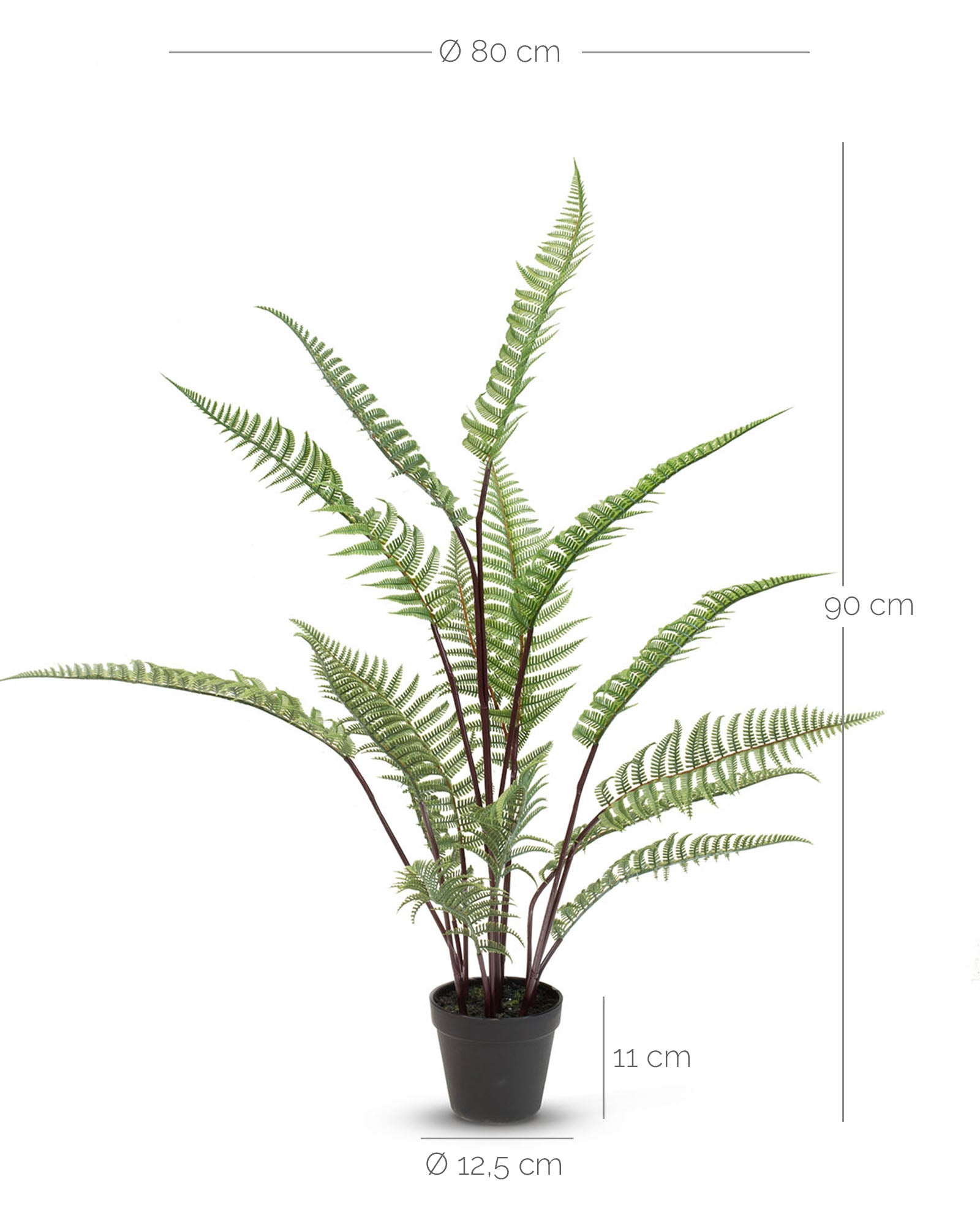 Schwertfarn - Nephrolepis exaltata Kunstpflanze