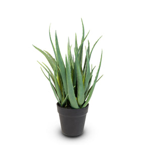 Aloe Vera Kunstpflanze