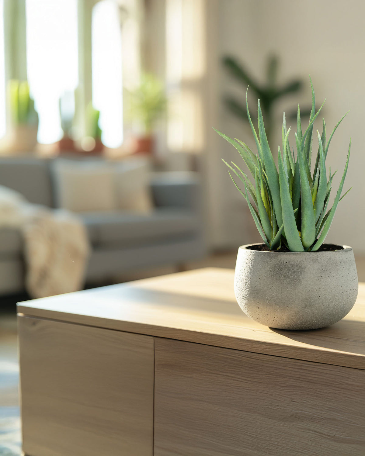 Aloe Vera Kunstpflanze