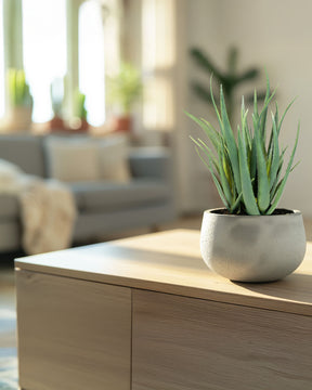 Aloe Vera Kunstpflanze