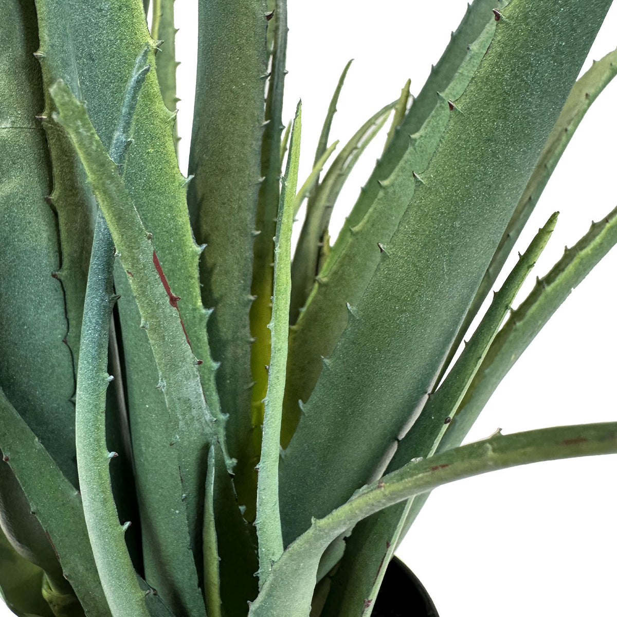 Aloe Vera Kunstpflanze