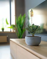 Aloe Vera Kunstpflanze