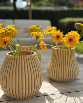 Vase 3D