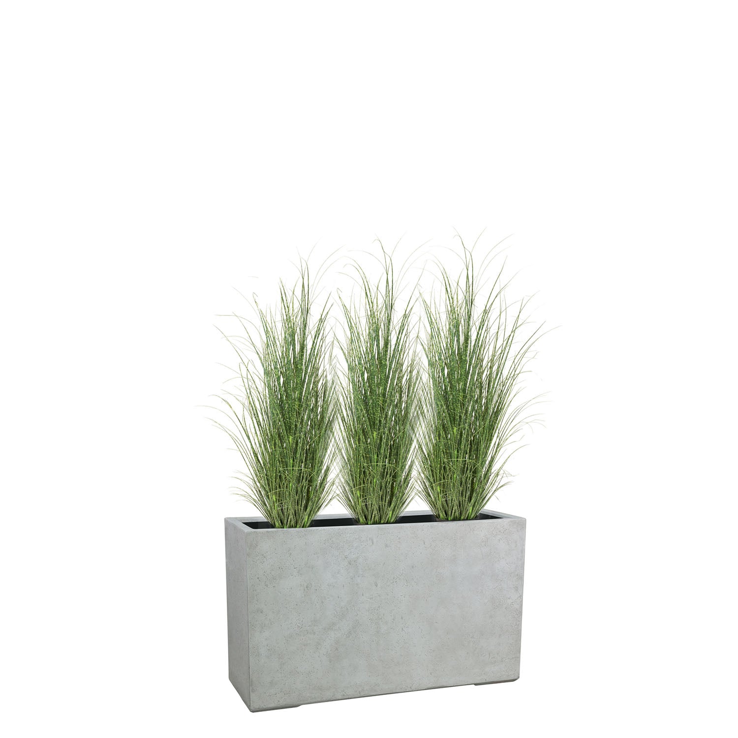 Set aus Mono Raumteiler und Zebragras