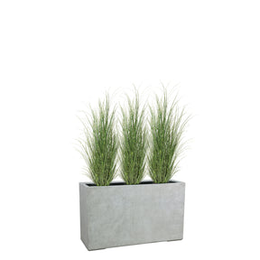 Set aus Mono Raumteiler und Zebragras
