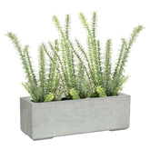 Set aus Mono Blumenkasten und Rosmarin