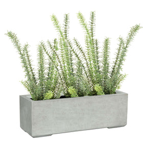 Set aus Mono Blumenkasten und Rosmarin