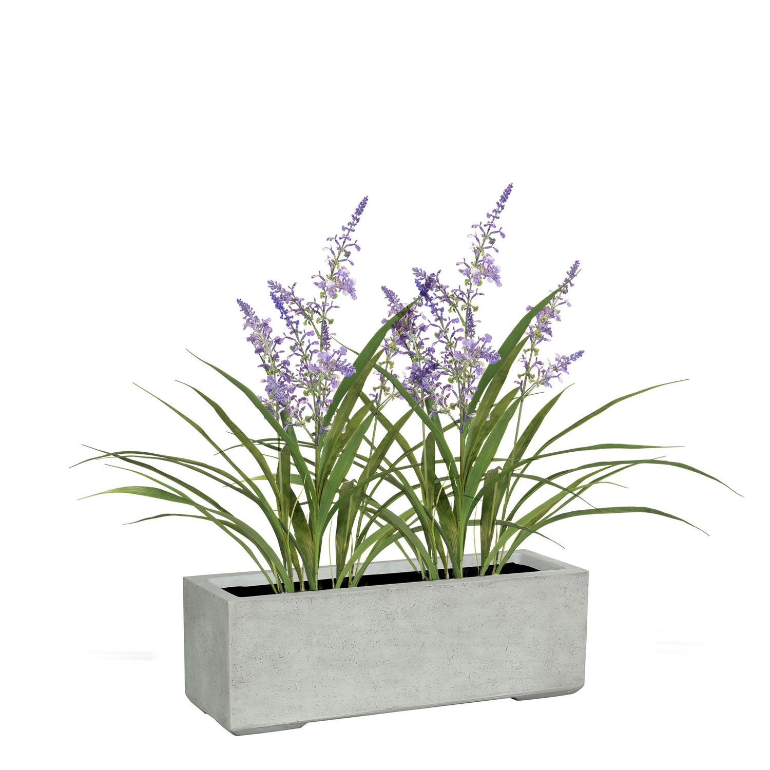 Set aus Mono Pflanzkasten und Lavendel
