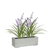 Set aus Mono Pflanzkasten und Lavendel