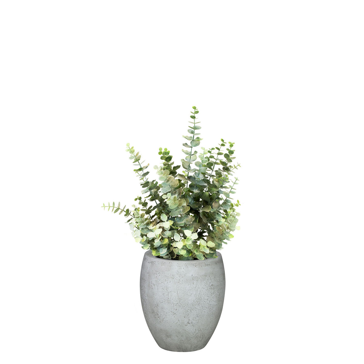 Set aus Mono Bodengefäß und Eucalyptus