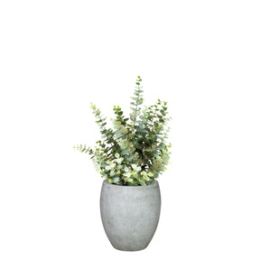 Set aus Mono Bodengefäß und Eucalyptus