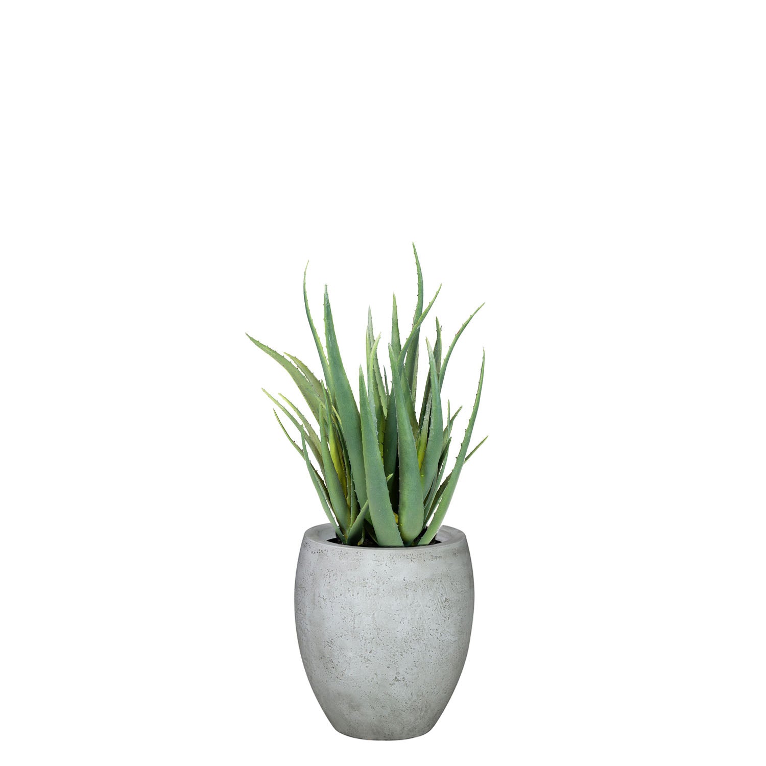 Set aus Mono Bodengefäß und Aloe Vera