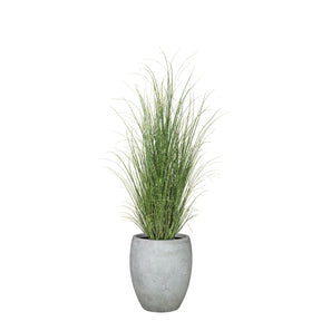 Set aus Mono Bodengefäß und Zebragras