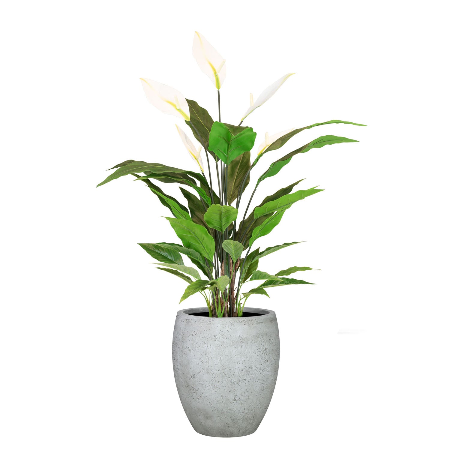 Set aus Mono Bodengefäß und Spathiphyllum