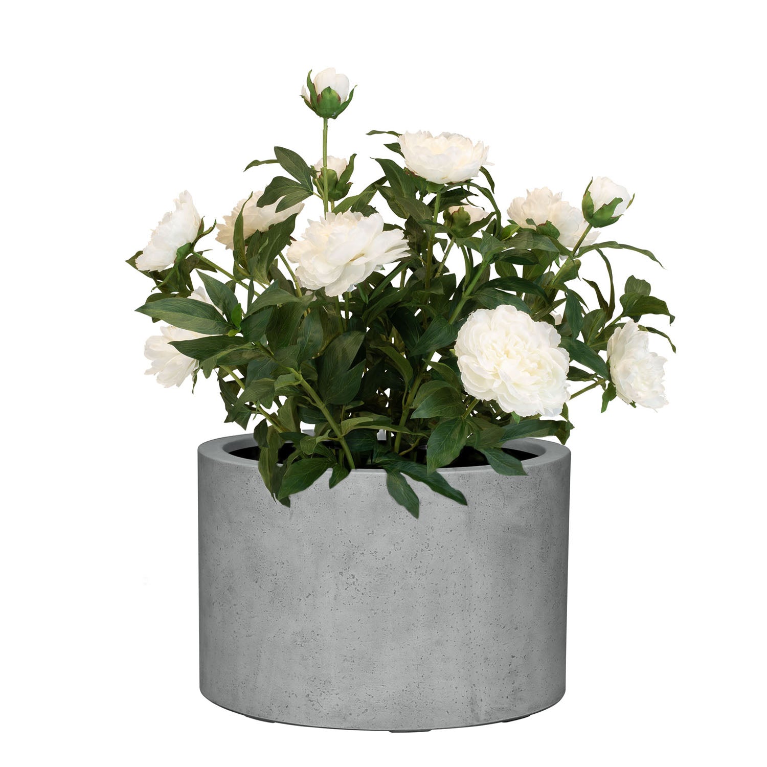 Set aus Mono Pflanzgefäß Zylinder und Pfingstrose