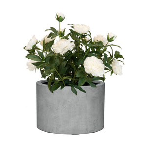 Set aus Mono Pflanzgefäß Zylinder und Pfingstrose