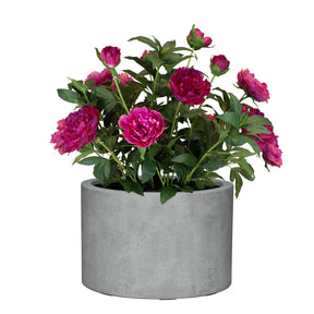 Set aus Mono Pflanzgefäß Zylinder und Pfingstrose
