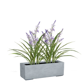 Set aus Mono Pflanzkasten und Lavendel