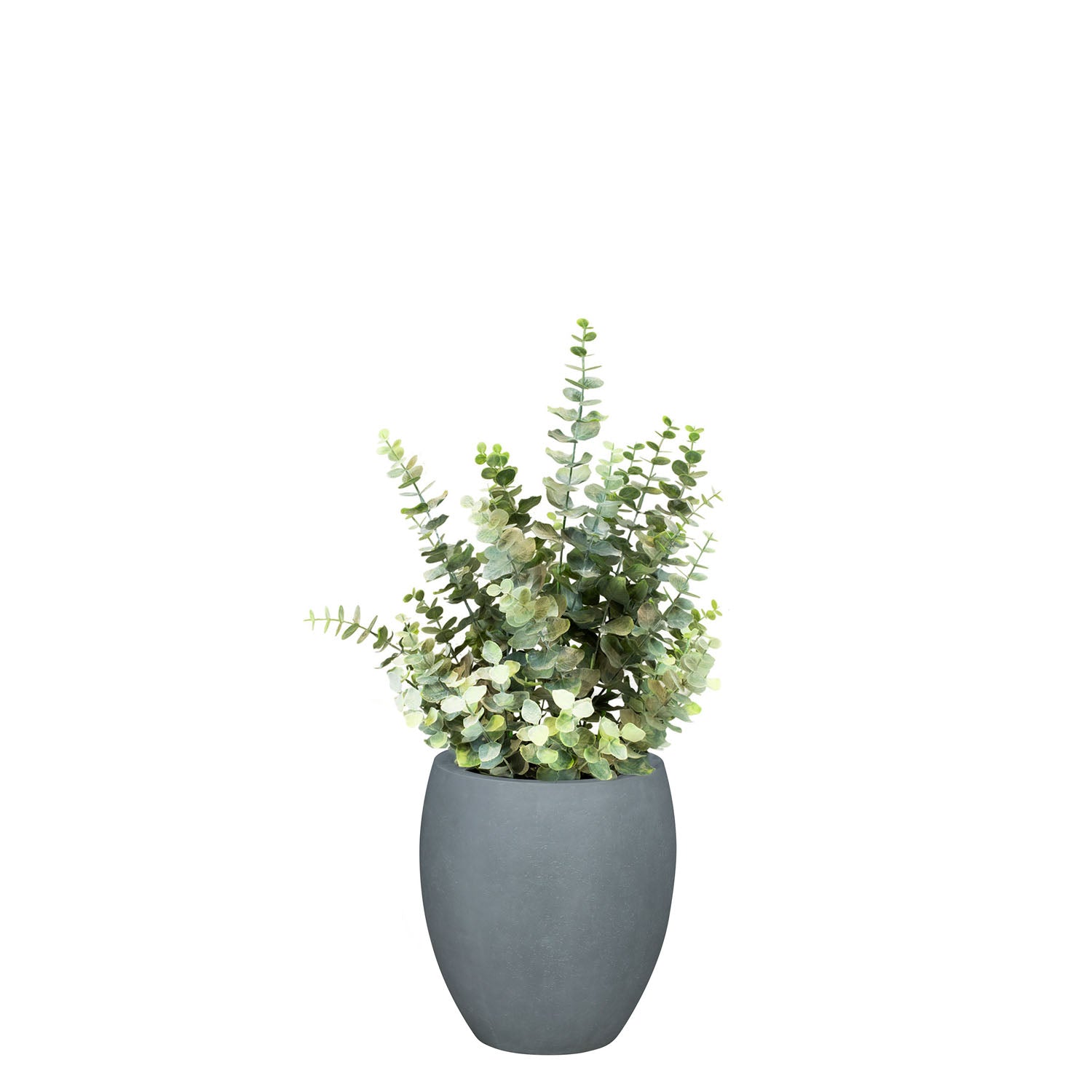 Set aus Mono Bodengefäß und Eucalyptus