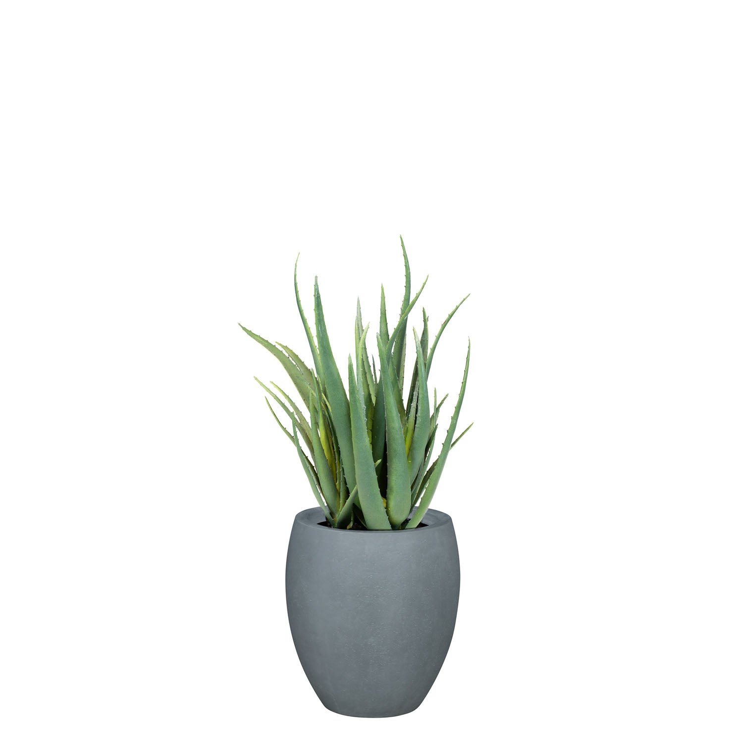 Set aus Mono Bodengefäß und Aloe Vera