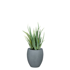 Set aus Mono Bodengefäß und Aloe Vera
