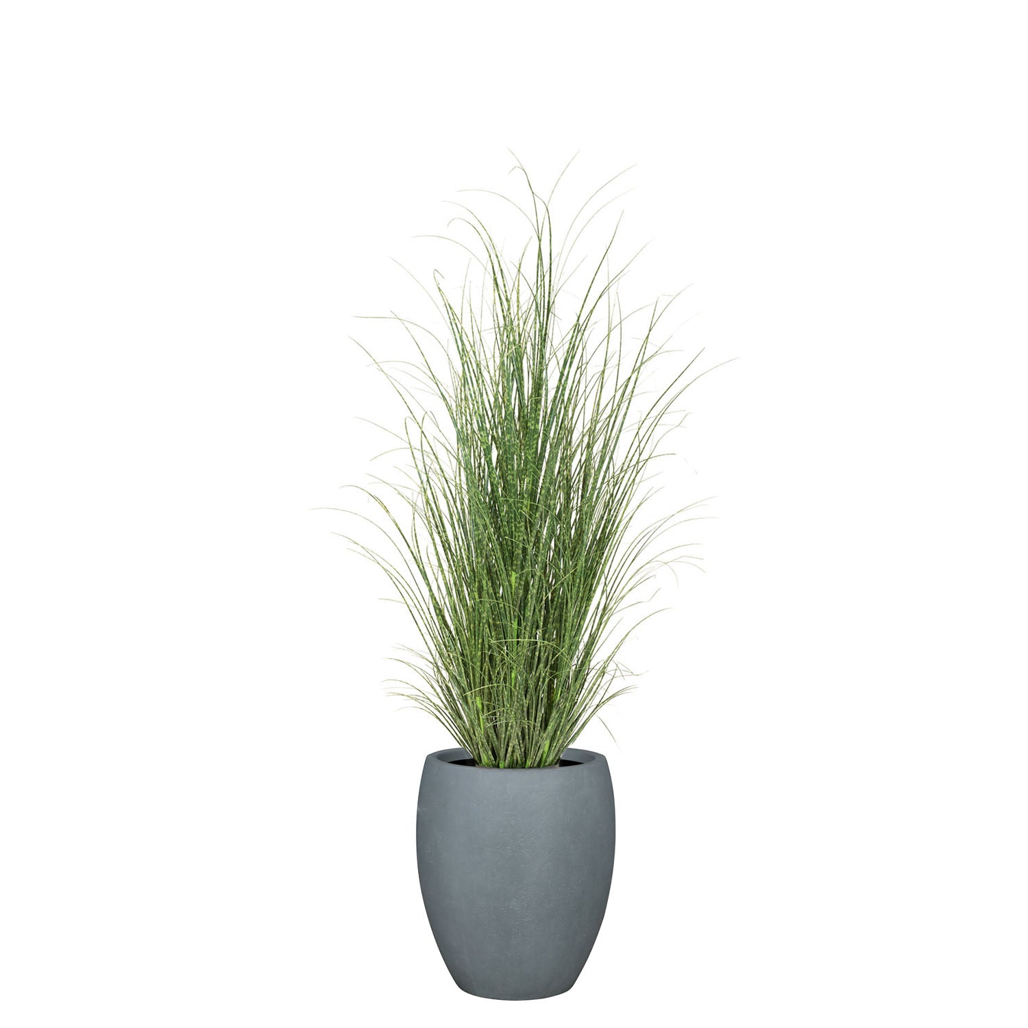 Set aus Mono Bodengefäß und Zebragras