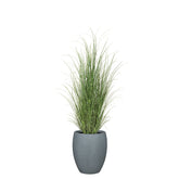 Set aus Mono Bodengefäß und Zebragras