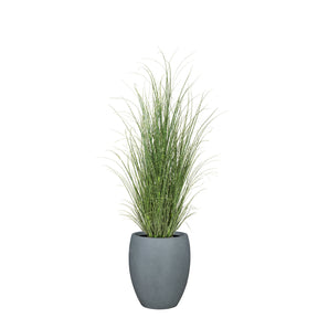 Set aus Mono Bodengefäß und Zebragras