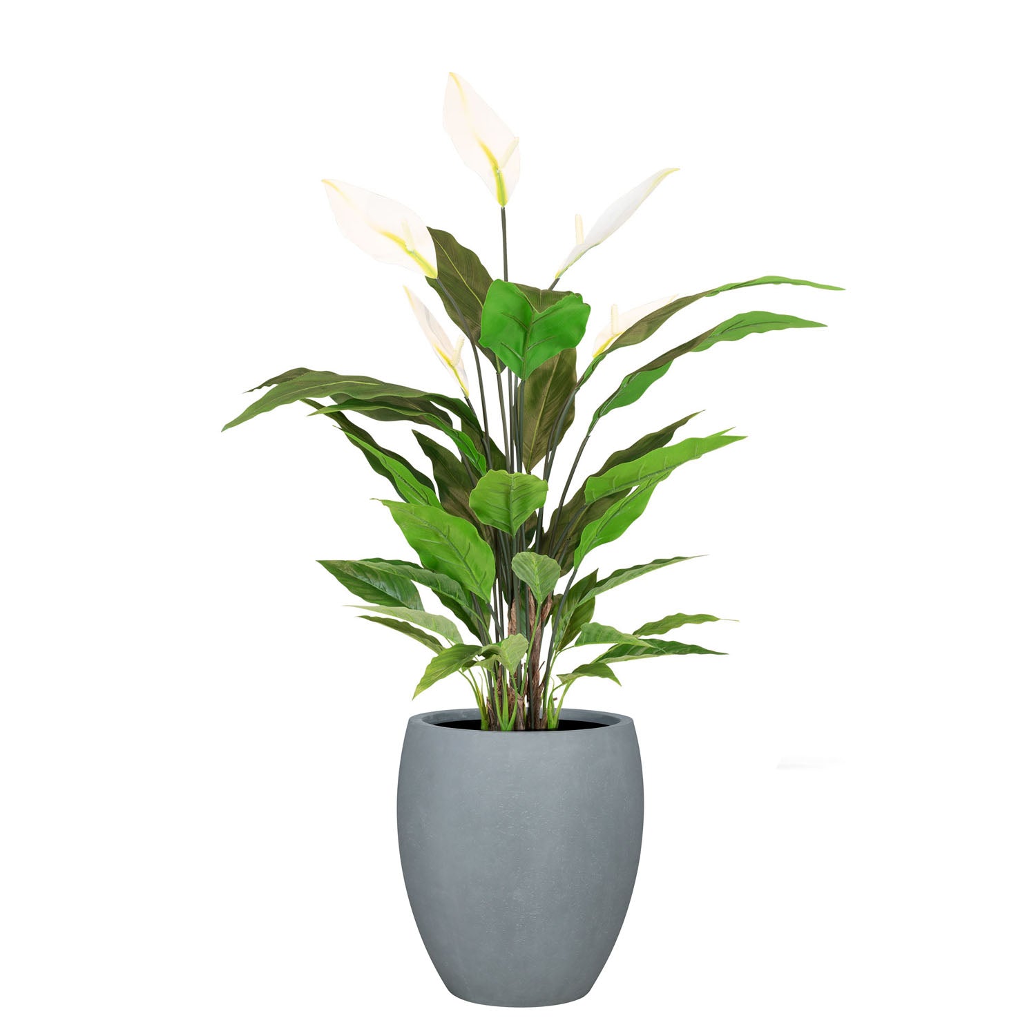 Set aus Mono Bodengefäß und Spathiphyllum