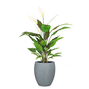 Set aus Mono Bodengefäß und Spathiphyllum