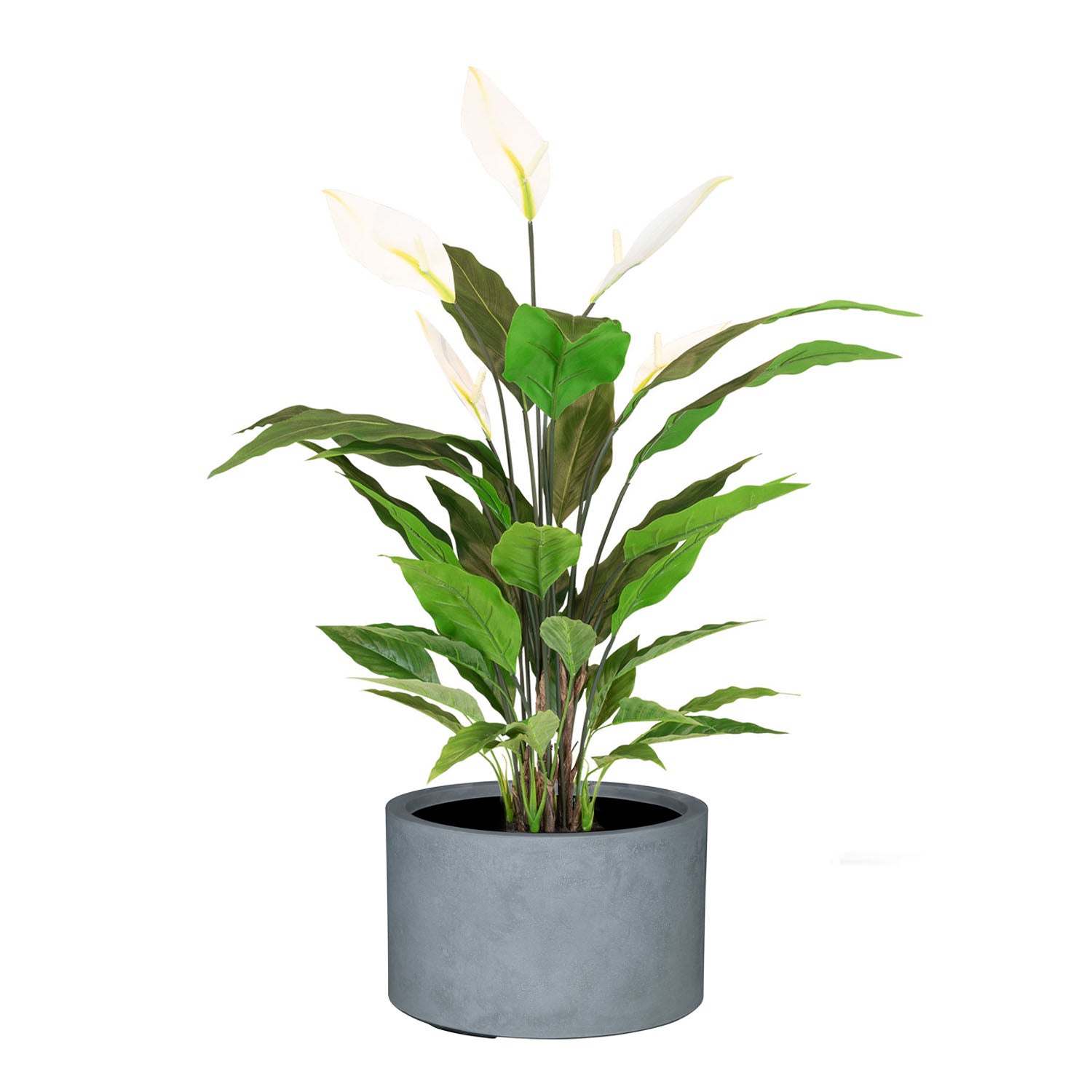 Set aus Mono Bodengefäß Zylinder und Spathiphyllum