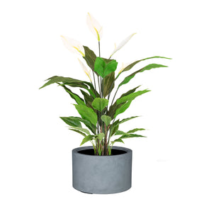 Set aus Mono Bodengefäß Zylinder und Spathiphyllum