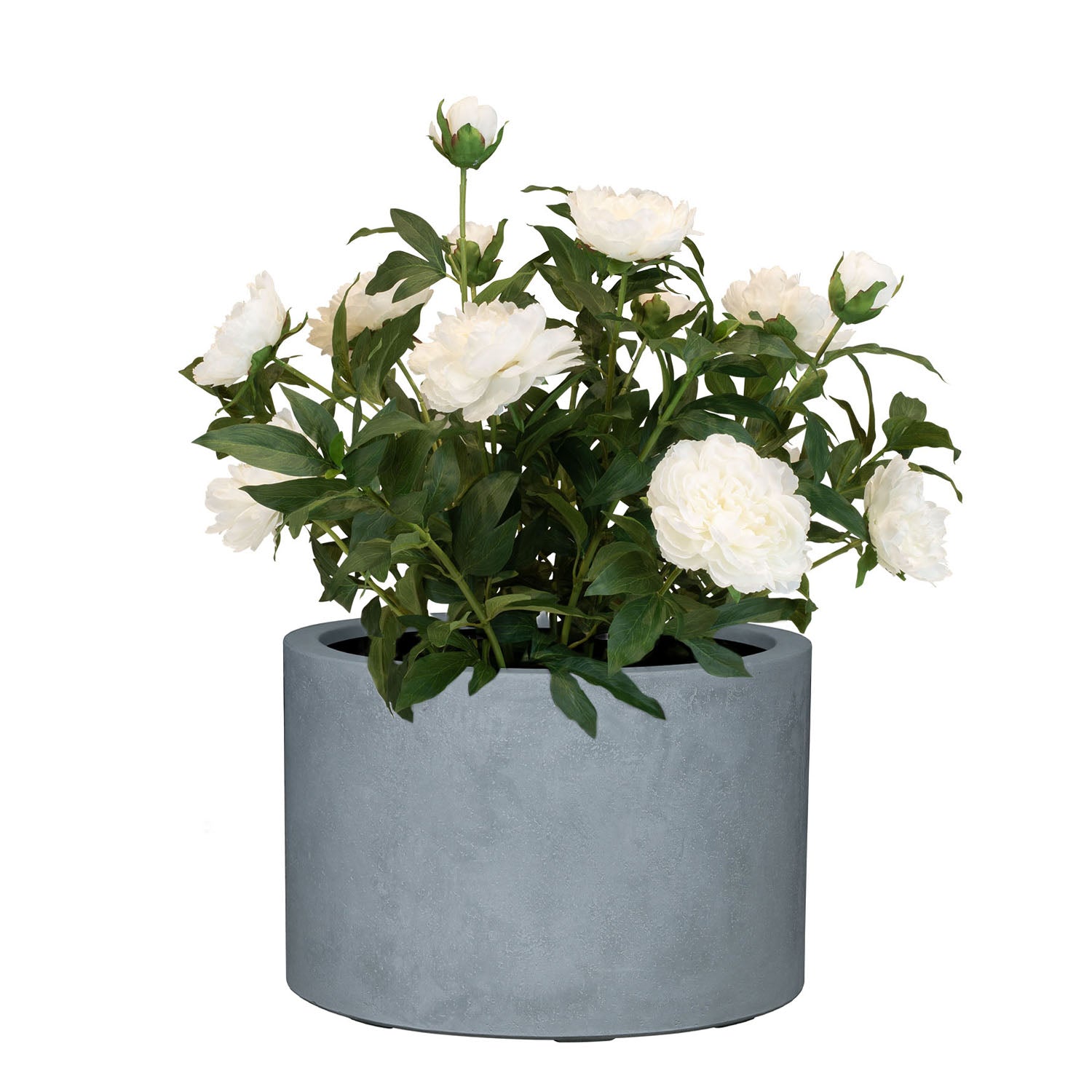 Set aus Mono Pflanzgefäß Zylinder und Pfingstrose