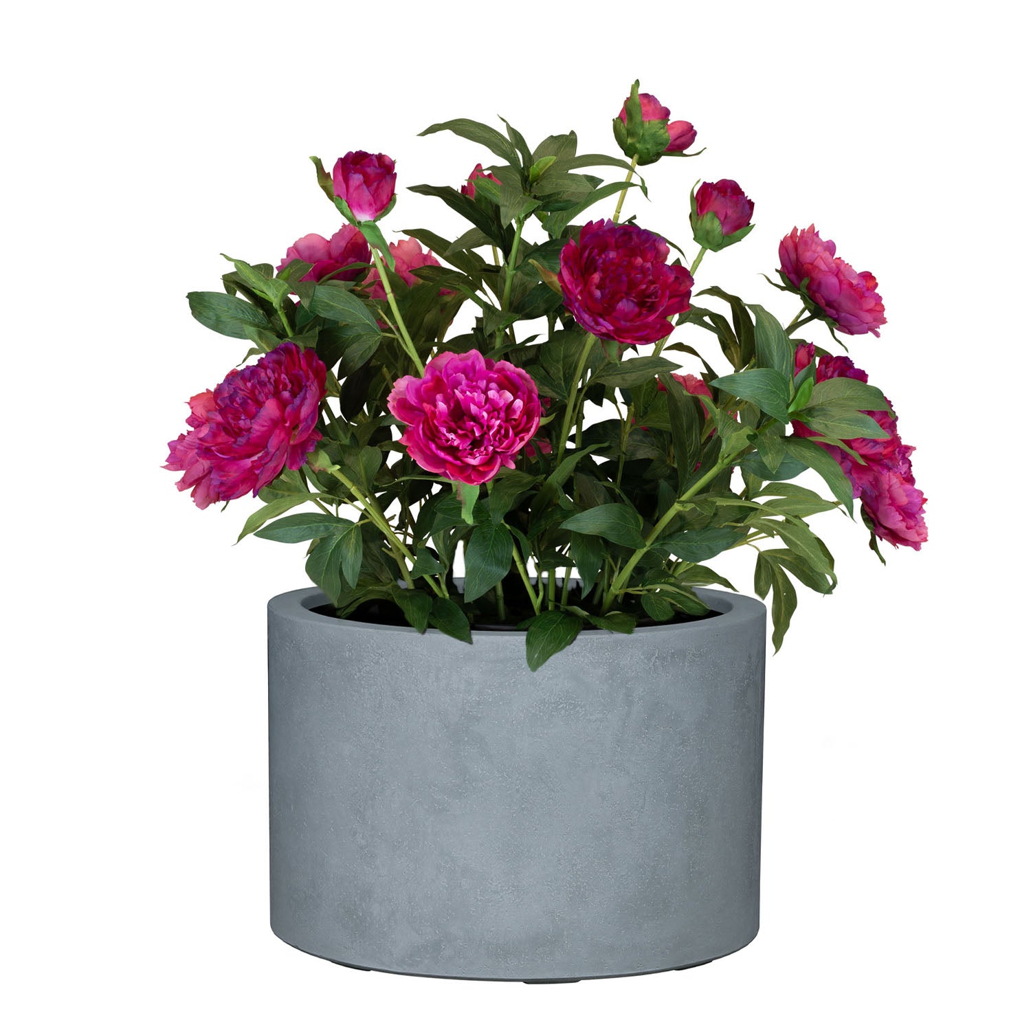 Set aus Mono Pflanzgefäß Zylinder und Pfingstrose