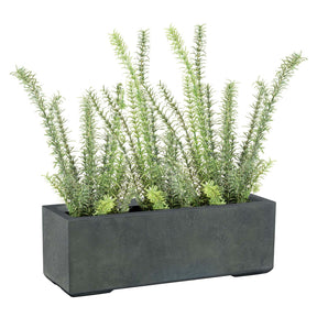 Set aus Mono Blumenkasten und Rosmarin