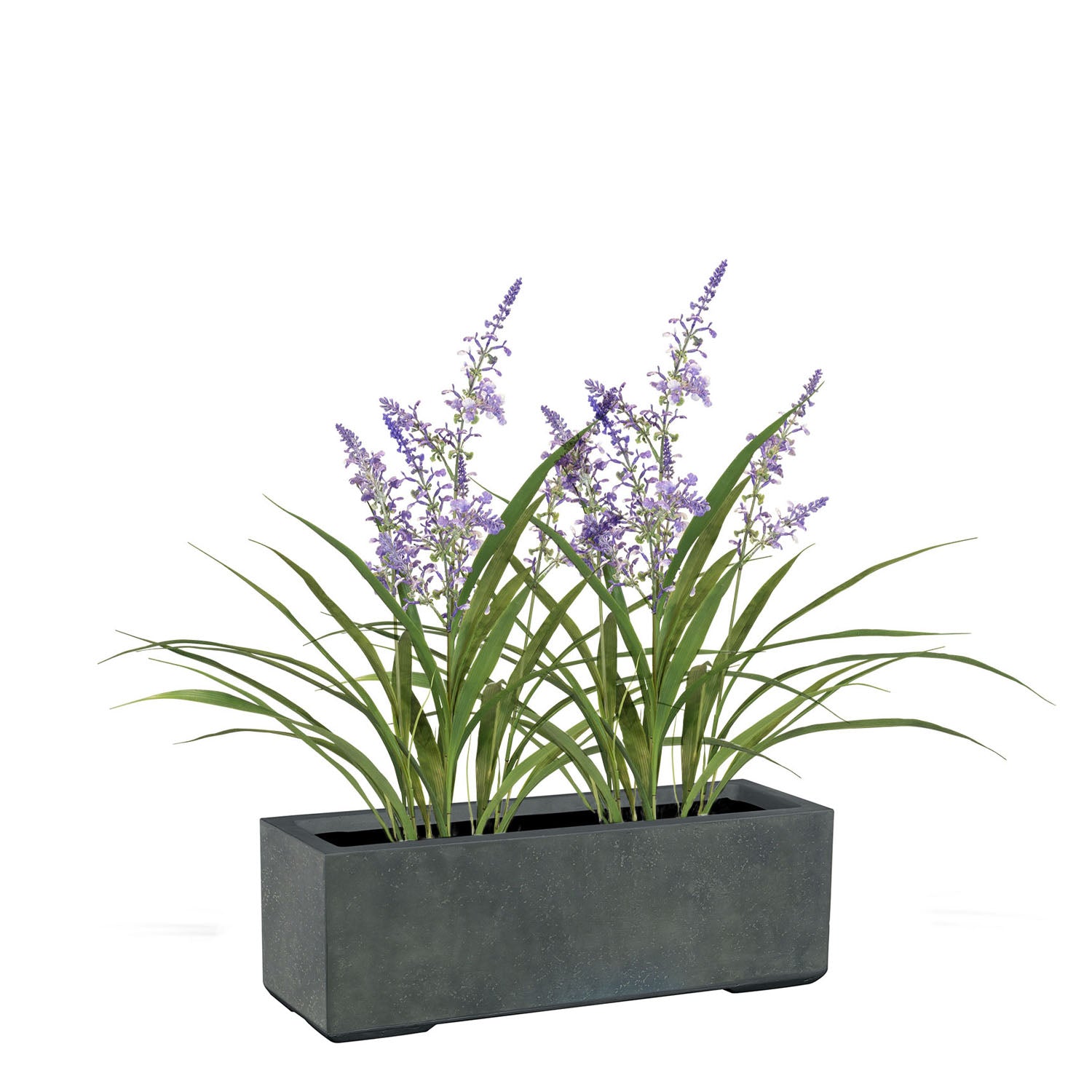 Set aus Mono Pflanzkasten und Lavendel