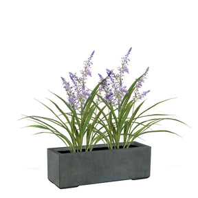 Set aus Mono Pflanzkasten und Lavendel