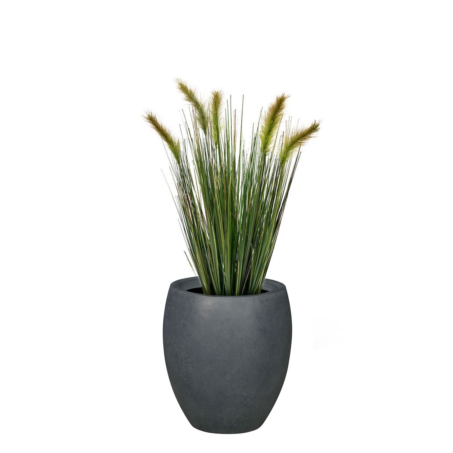 Set aus Mono Bodengefäß und Fuchsschwanzgras