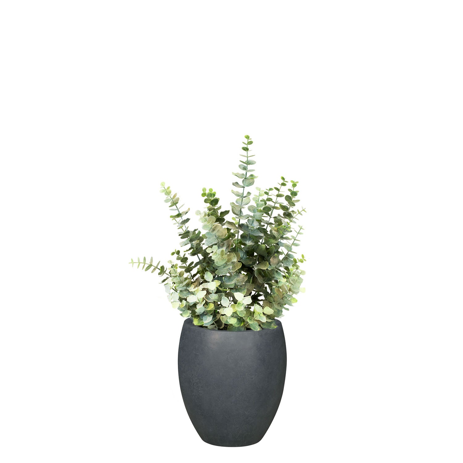 Set aus Mono Bodengefäß und Eucalyptus