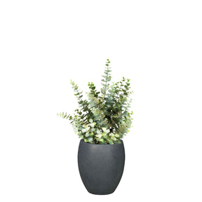 UV-stabiler Eucalyptus im anthrazitfarbenen Mono Bodengefäß von Get Your Green Detailansicht