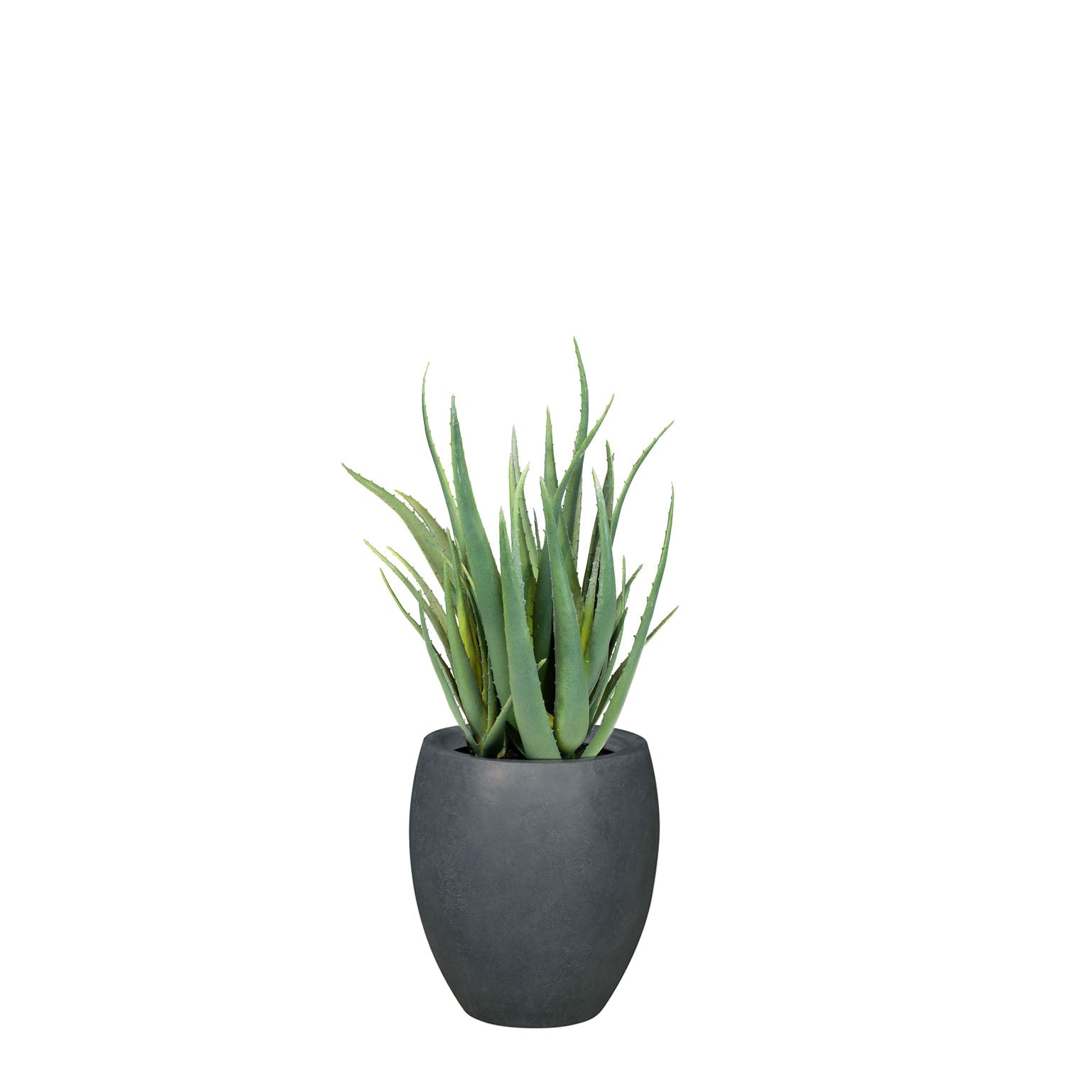 Set aus Mono Bodengefäß und Aloe Vera