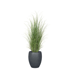 Set aus Mono Bodengefäß und Zebragras
