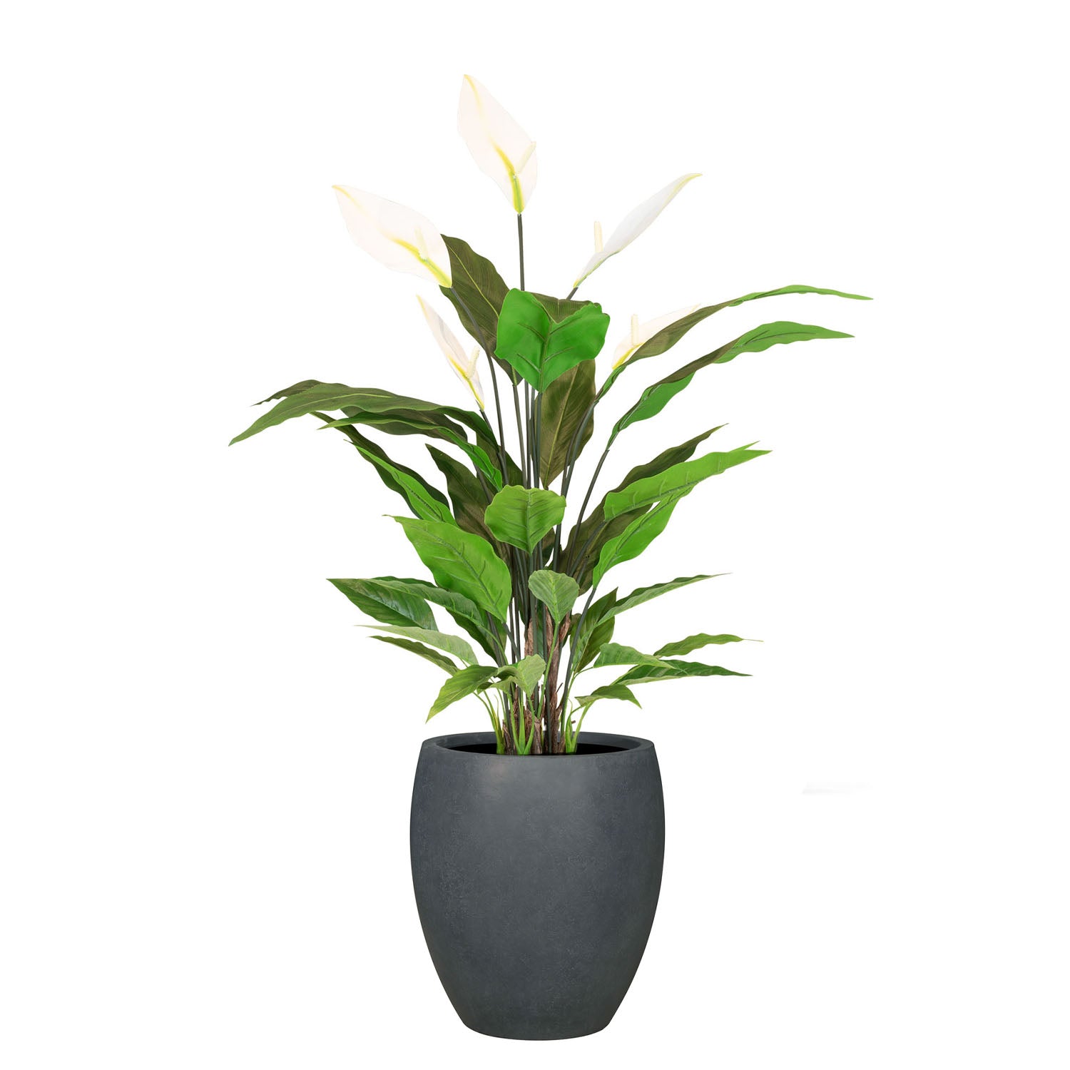 Set aus Mono Bodengefäß und Spathiphyllum