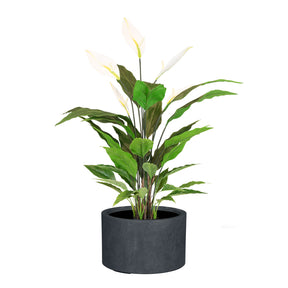 Set aus Mono Bodengefäß Zylinder und Spathiphyllum