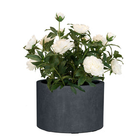Set aus Mono Pflanzgefäß Zylinder und Pfingstrose
