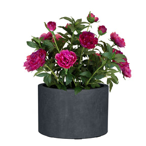 Set aus Mono Pflanzgefäß Zylinder und Pfingstrose