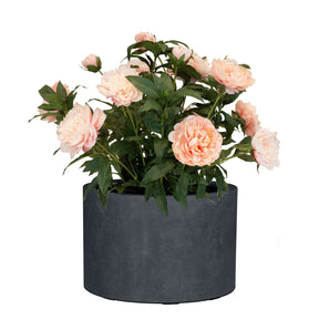 Set aus Mono Pflanzgefäß Zylinder und Pfingstrose